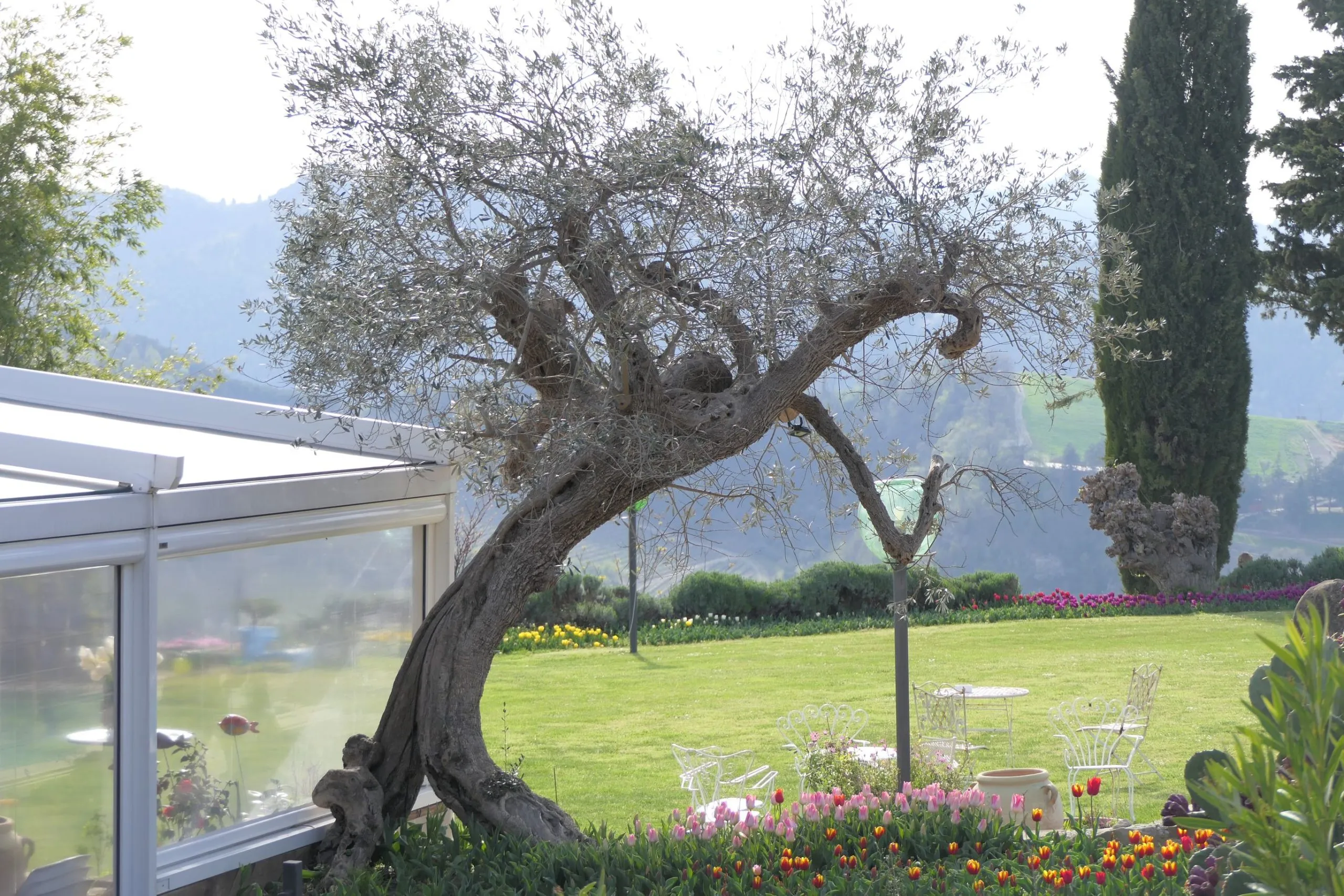 Festveranda mit Ausstattung – Foto 43 – Agriturismo Re Piano