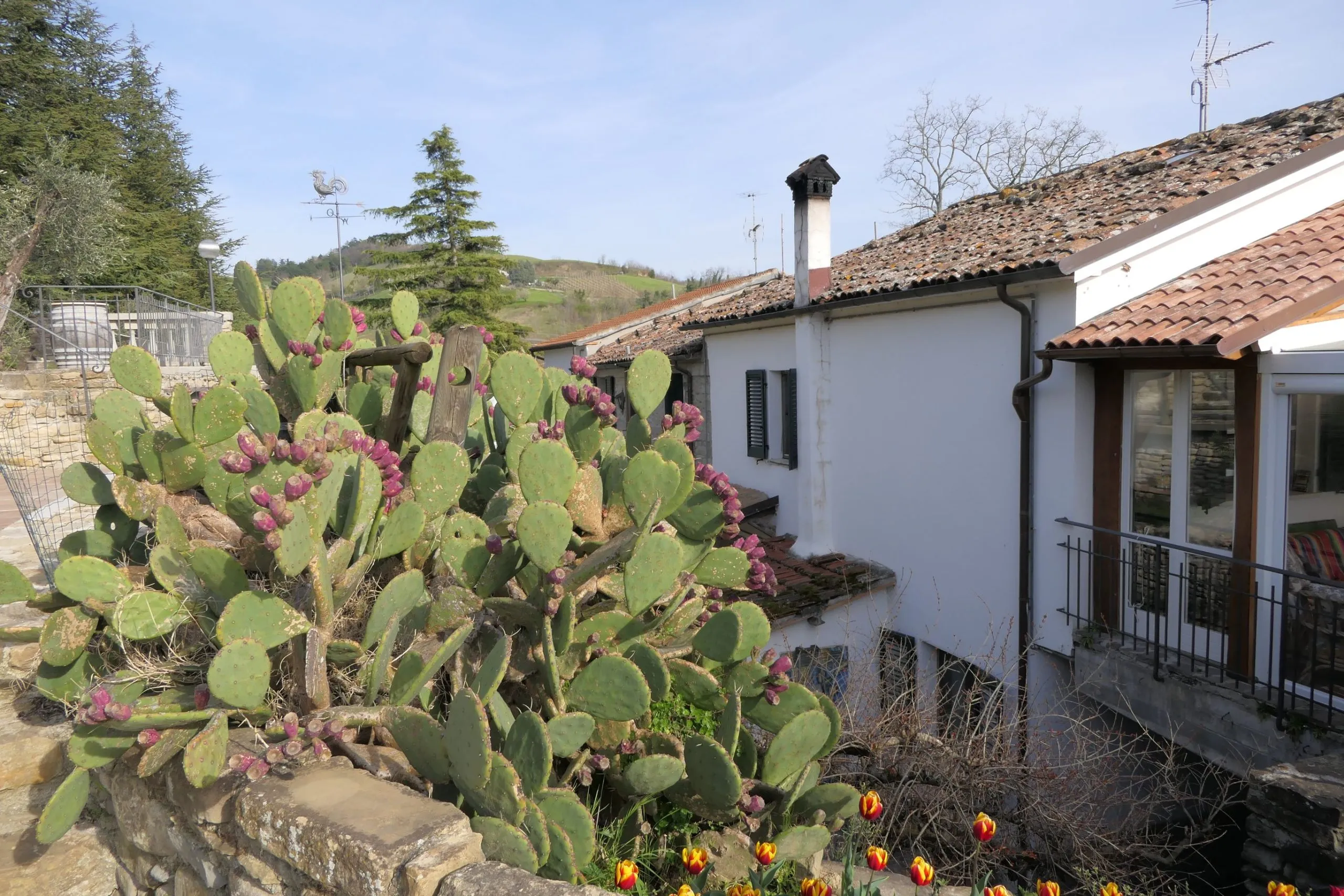 Festveranda mit Ausstattung – Foto 45 – Agriturismo Re Piano