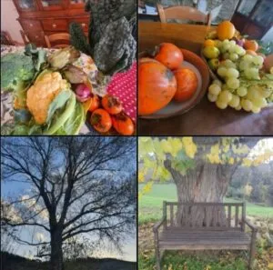 Active Holidays at Re Piano – photo 1